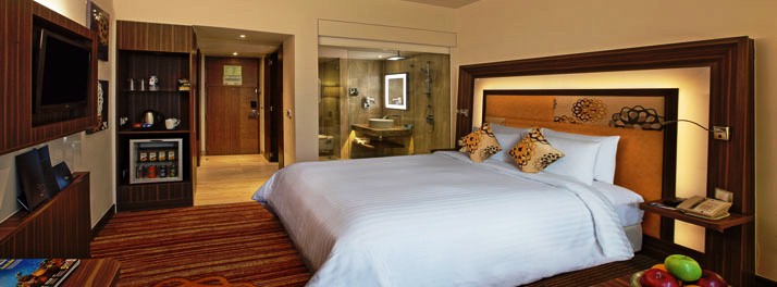 216/Novotel Pune Nagar Road - Pune 07.jpg
